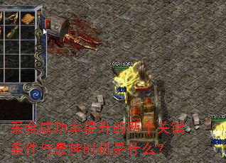 采金成功率提升的两个关键条件与最佳时机是什么? 采金成功率提升的两个关键条件与最佳时机是什么?