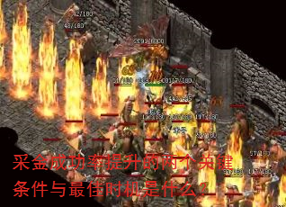 采金成功率提升的两个关键条件与最佳时机是什么? 采金成功率提升的两个关键条件与最佳时机是什么?