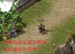 传奇私服玩家如何循序渐进提升实力? 传奇私服玩家如何循序渐进提升实力?