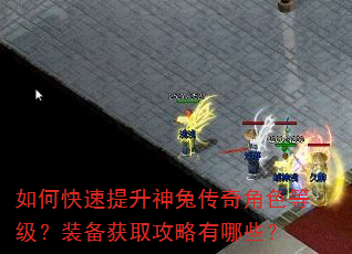 如何快速提升神兔传奇角色等级?装备获取攻略有哪些? 如何快速提升神兔传奇角色等级?装备获取攻略有哪些?