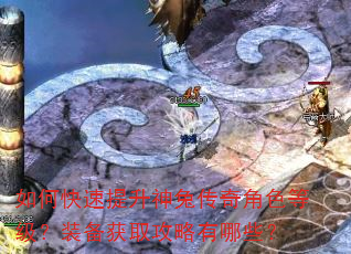 如何快速提升神兔传奇角色等级?装备获取攻略有哪些? 如何快速提升神兔传奇角色等级?装备获取攻略有哪些?