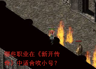 哪些职业在《新开传奇》中适合吹小号? 哪些职业在《新开传奇》中适合吹小号?