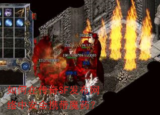 如何在传奇SF发布网络中安全携带魔药? 如何在传奇SF发布网络中安全携带魔药?