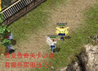 微变传奇关卡训练有哪些实用技巧? 微变传奇关卡训练有哪些实用技巧?