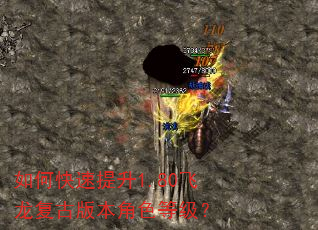 如何快速提升1.80飞龙复古版本角色等级? 如何快速提升1.80飞龙复古版本角色等级?