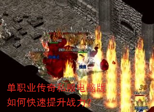 ��ְҵ����˽�����԰���ο�������ս����