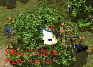 如何在天空传奇私服中快速提升角色等级? 如何在天空传奇私服中快速提升角色等级?