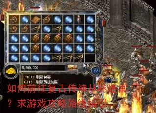 如何前往复古传神丛林迷宫?求游戏攻略路线指引。 如何前往复古传神丛林迷宫?求游戏攻略路线指引。
