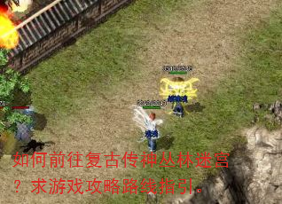 如何前往复古传神丛林迷宫?求游戏攻略路线指引。 如何前往复古传神丛林迷宫?求游戏攻略路线指引。