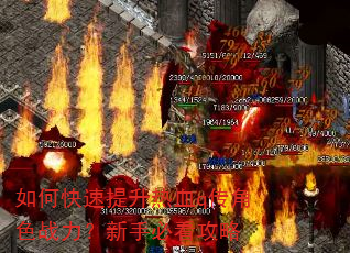��ο���������Ѫq����ɫս�������ֱؿ�����