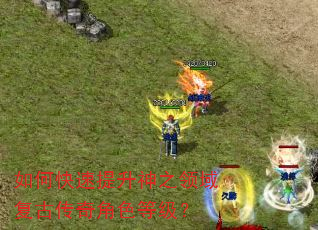 如何快速提升神之领域复古传奇角色等级? 如何快速提升神之领域复古传奇角色等级?
