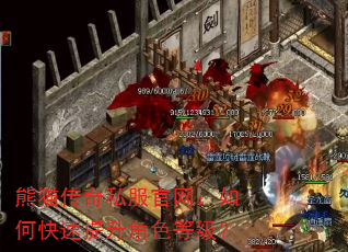 熊猫传奇私服官网:如何快速提升角色等级? 熊猫传奇私服官网:如何快速提升角色等级?