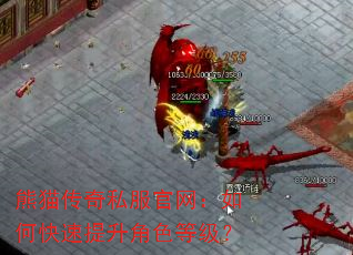 熊猫传奇私服官网:如何快速提升角色等级? 熊猫传奇私服官网:如何快速提升角色等级?