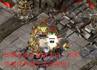 传奇私服古龙版本中,如何快速提升道士宝宝等级? 传奇私服古龙版本中,如何快速提升道士宝宝等级?