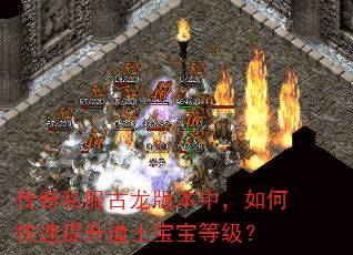 传奇私服古龙版本中,如何快速提升道士宝宝等级? 传奇私服古龙版本中,如何快速提升道士宝宝等级?
