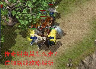 传奇钳虫巢怎么走?详细路线攻略解析 传奇钳虫巢怎么走?详细路线攻略解析