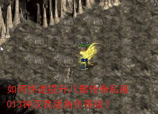 如何快速提升八部传奇私服013钟汉良版角色等级? 如何快速提升八部传奇私服013钟汉良版角色等级?