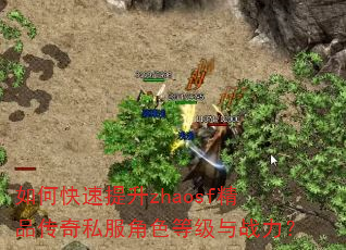 如何快速提升zhaosf精品传奇私服角色等级与战力? 如何快速提升zhaosf精品传奇私服角色等级与战力?