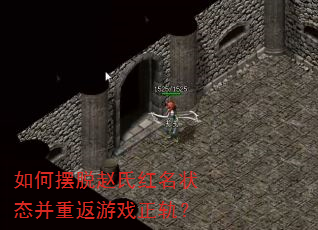 如何摆脱赵氏红名状态并重返游戏正轨? 如何摆脱赵氏红名状态并重返游戏正轨?
