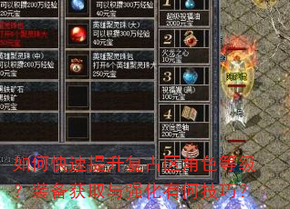如何快速提升复古区角色等级?装备获取与强化有何技巧? 如何快速提升复古区角色等级?装备获取与强化有何技巧?