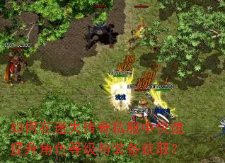 如何在迷失传奇私服中快速提升角色等级与装备获取? 如何在迷失传奇私服中快速提升角色等级与装备获取?