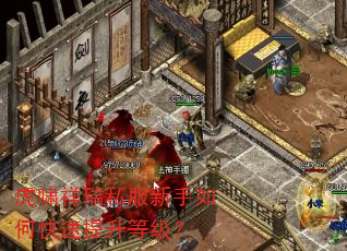虎啸祥瑞私服新手如何快速提升等级? 虎啸祥瑞私服新手如何快速提升等级?