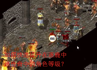 如何快速提升在逐鹿中原传奇中的角色等级? 如何快速提升在逐鹿中原传奇中的角色等级?