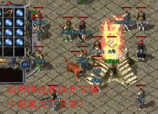 如何快速在纯元宝服中积累大量元宝? 如何快速在纯元宝服中积累大量元宝?