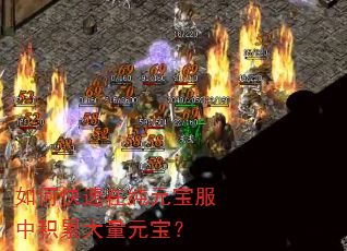 如何快速在纯元宝服中积累大量元宝? 如何快速在纯元宝服中积累大量元宝?