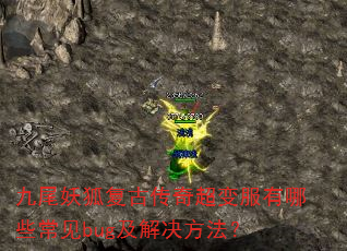 九尾妖狐复古传奇超变服有哪些常见bug及解决方法? 九尾妖狐复古传奇超变服有哪些常见bug及解决方法?