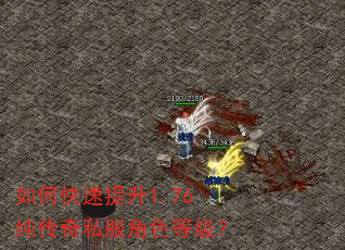 如何快速提升1.76纯传奇私服角色等级? 如何快速提升1.76纯传奇私服角色等级?