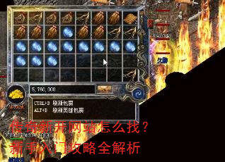 传奇新开网站怎么找?新手入门攻略全解析 传奇新开网站怎么找?新手入门攻略全解析