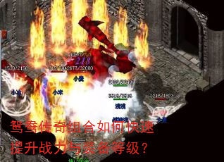 鸳鸯传奇组合如何快速提升战力与装备等级? 鸳鸯传奇组合如何快速提升战力与装备等级?
