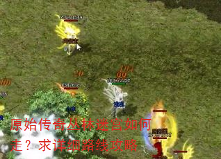 原始传奇丛林迷宫如何走?求详细路线攻略 原始传奇丛林迷宫如何走?求详细路线攻略