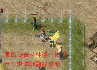 原始传奇丛林迷宫如何走?求详细路线攻略 原始传奇丛林迷宫如何走?求详细路线攻略