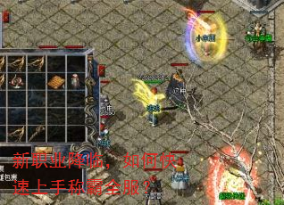 新职业降临,如何快速上手称霸全服? 新职业降临,如何快速上手称霸全服?