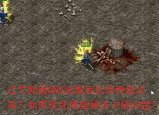 辽宁网通DNS设置后玩传奇延迟高?如何优化网络解决卡顿问题? 辽宁网通DNS设置后玩传奇延迟高?如何优化网络解决卡顿问题?