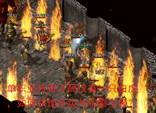 单职业传奇开局仅有一只白虎,如何快速升级并称霸全服? 单职业传奇开局仅有一只白虎,如何快速升级并称霸全服?