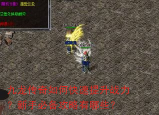 九龙传奇如何快速提升战力?新手必备攻略有哪些? 九龙传奇如何快速提升战力?新手必备攻略有哪些?