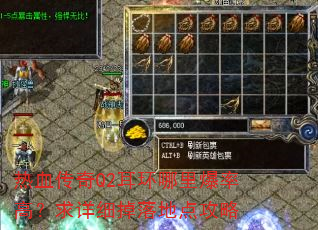 热血传奇Q2耳环哪里爆率高?求详细掉落地点攻略 热血传奇Q2耳环哪里爆率高?求详细掉落地点攻略