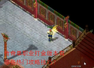 传奇单职业打金版本有哪些热门攻略技巧? 传奇单职业打金版本有哪些热门攻略技巧?