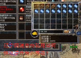 辽宁网通传奇私服如何快速提升角色等级? 辽宁网通传奇私服如何快速提升角色等级?