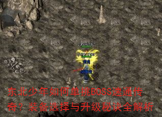 ����������ε���BOSS��ͨ���棿װ��ѡ���������ؾ�ȫ����