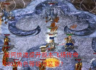 如何快速提升我本飞扬传奇2003角色等级与装备? 如何快速提升我本飞扬传奇2003角色等级与装备?