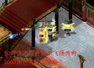 如何快速提升我本飞扬传奇2003角色等级与装备? 如何快速提升我本飞扬传奇2003角色等级与装备?