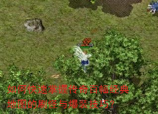 如何快速掌握传奇百幅经典地图的刷怪与爆装技巧? 如何快速掌握传奇百幅经典地图的刷怪与爆装技巧?