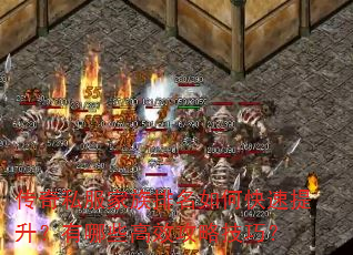 传奇私服家族排名如何快速提升?有哪些高效攻略技巧? 传奇私服家族排名如何快速提升?有哪些高效攻略技巧?