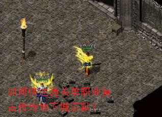 如何快速通关单职业复古传奇地下城沉默? 如何快速通关单职业复古传奇地下城沉默?