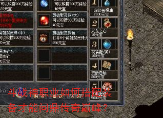 ��ս��ְҵ��δ���װ�������ʶ������۷壿